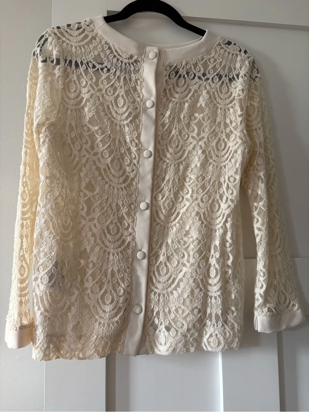 Banana Republic Cream Lace Long-Sleeve Blouse